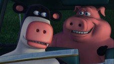 Le meilleur ami de la vache
