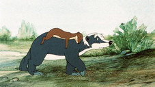Si proche et pourtant si loin