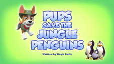 Pups Save the Jungle Penguins