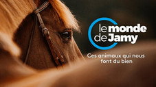 Ces animaux qui nous font du bien !