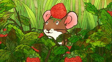 Summer Strawberries
