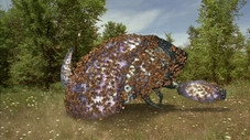Papillon vole