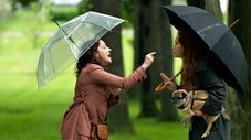 Une partie à trois ou le rêve américain