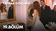 Épisode 19
