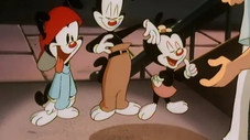 Le Roi Yakko