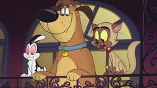 Épisode 5