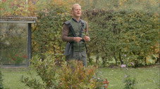 Le jardin