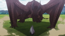 Une maison pour un dragon noir