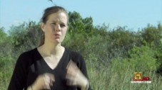 Les nouveaux maîtres de la Terre