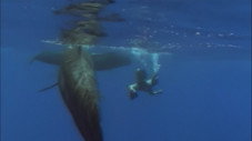 Épisode 9