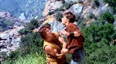 Les gladiateurs