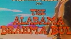Le Taureau Alabama Brahma