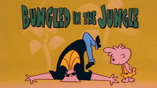 Raté dans la jungle