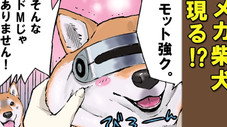 Épisode 42