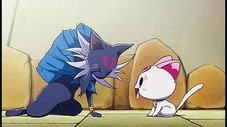 Épisode 20