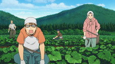 La bévue d'Hachiken