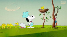 Beagle, tout simplement