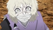 Mitsuki e Sekiei