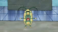 Plankton’s Pet