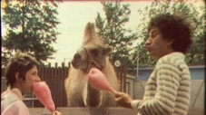 Le zoo
