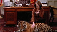 The Lady or the Tiger