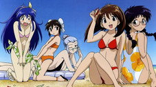Épisode 11