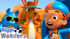 Kangaroo Race!