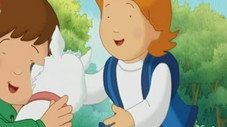 Épisode 5