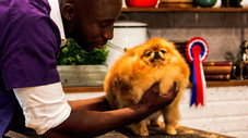 Épisode 4