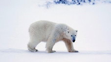 L'Hiver
