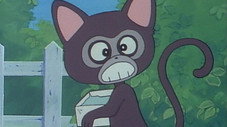 Chico le singe