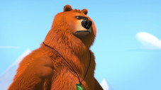 Bear Behind the Wheel