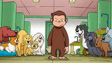 Épisode 17
