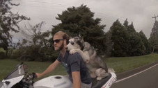 Épisode 5