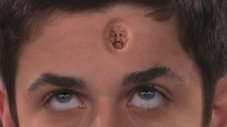 Zappe le bouton