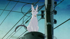 Épisode 14