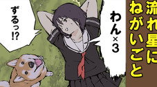 Épisode 43