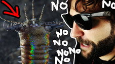 Épisode 4
