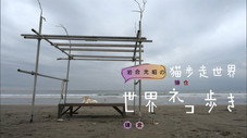 Épisode 79