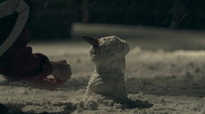 Premières neiges