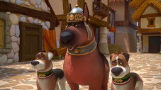 L'Ennemi canin n°1