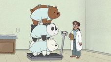 Bear Cleanse