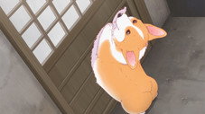 Épisode 13
