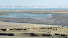 Le littoral nord le paradis des oiseaux