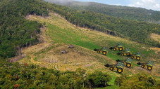 La déforestation