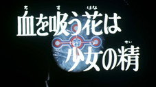 Épisode 11
