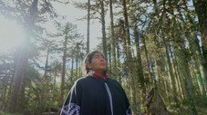 Forests