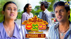 Épisode 67