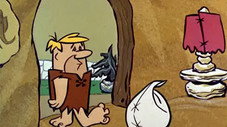 Wilma's Vanishing Money