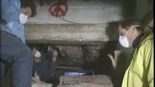 Épisode 8